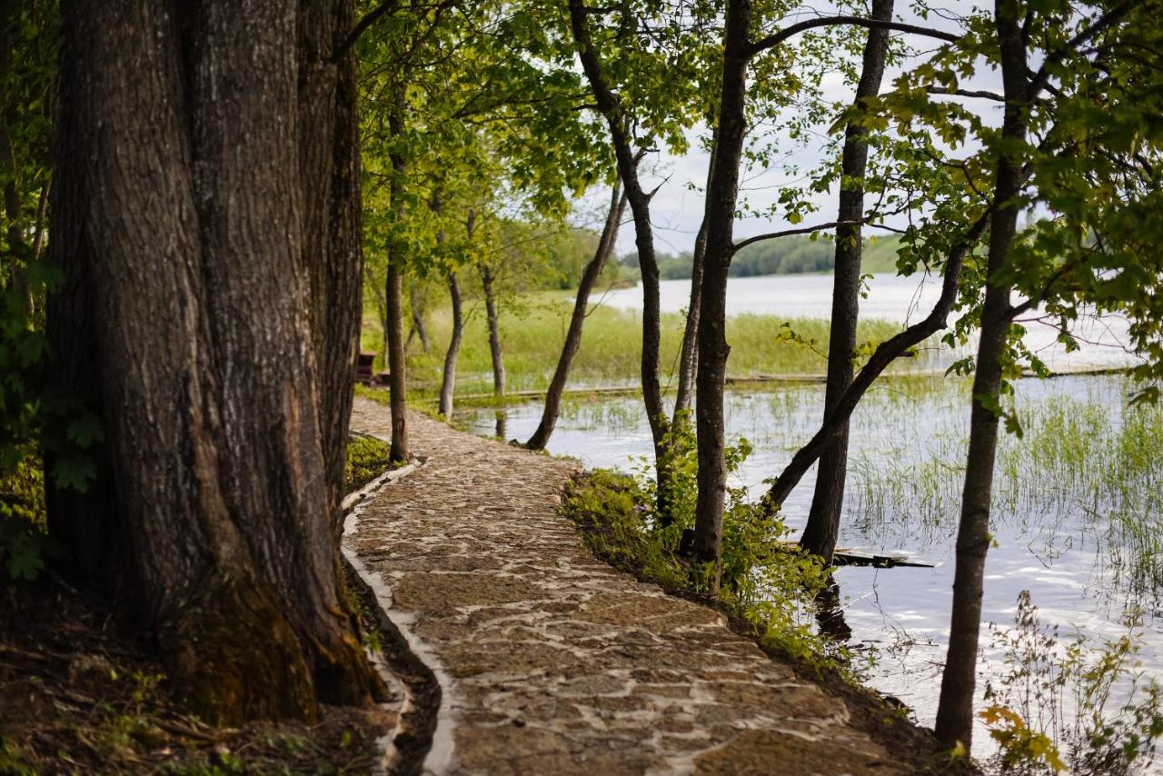 Baza Otdyha " Staroladojskaya Dacha " Otel Staraya Ladoga Dış mekan fotoğraf